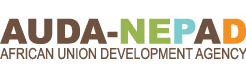 AUDA-NEPAD logo